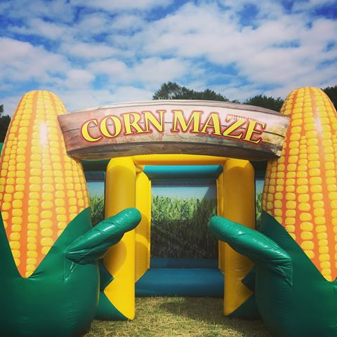 Corn Maze (1)
